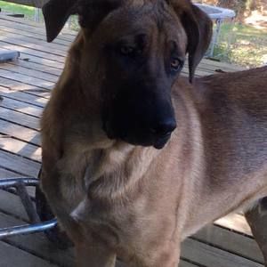 Meet your Posher, Ronald